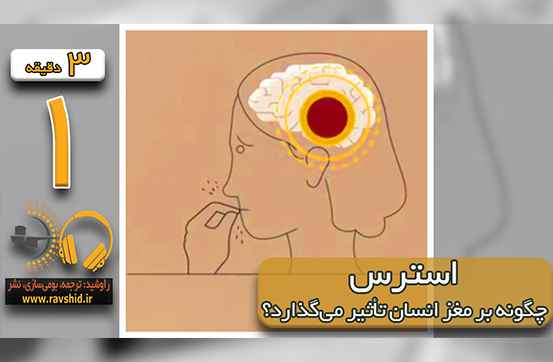 استرس چگونه برروی مغز انسان تأثیر می گذارد؟