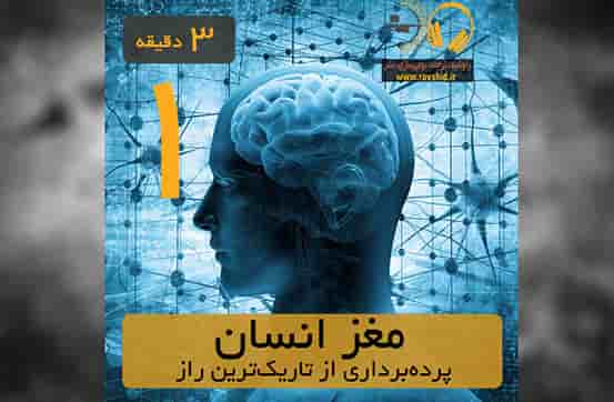 پرده‌برداری از تاریک‌ترین راز مغز انسان